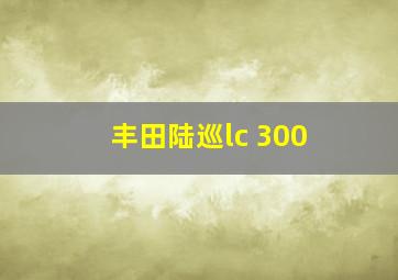 丰田陆巡lc 300